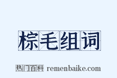 棕毛组词是什么意思的图片